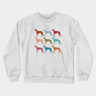 Greyhound Dogs in Rainbow Colors Crewneck Sweatshirt